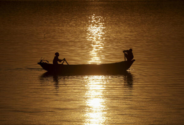 A fisherman catches fish in a boat during sunset, in Prayagraj.
