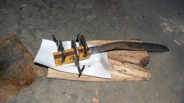 Man kills 50-year-old wife suspecting infidelity in Bengaluru