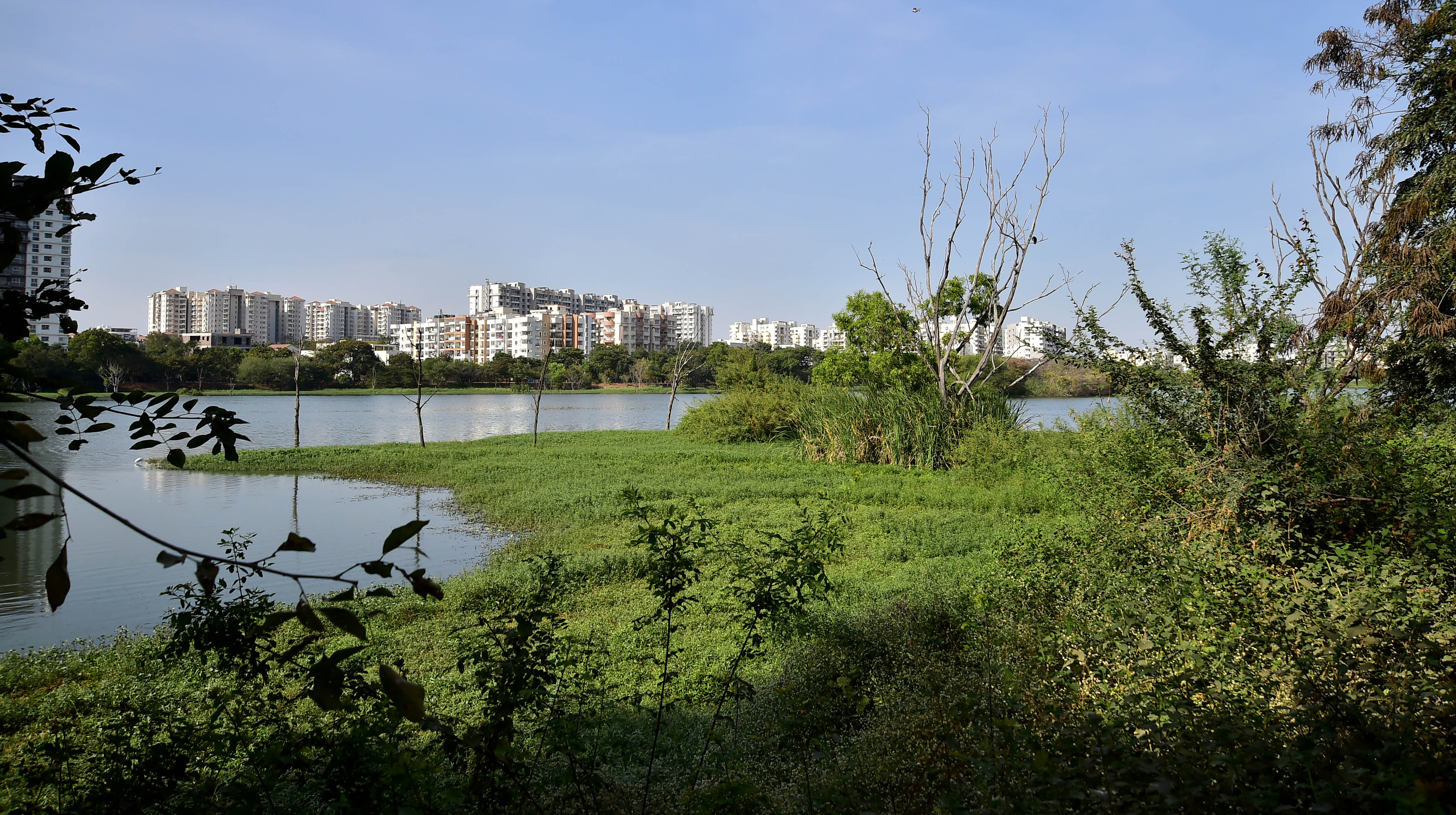 Karnataka notifies Act to shrink lake buffer zones based on area