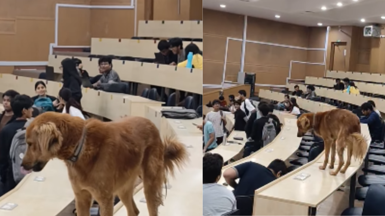 IIT Bombay draws internet's attention with THIS viral video of 'Dogesh bhai' in classroom