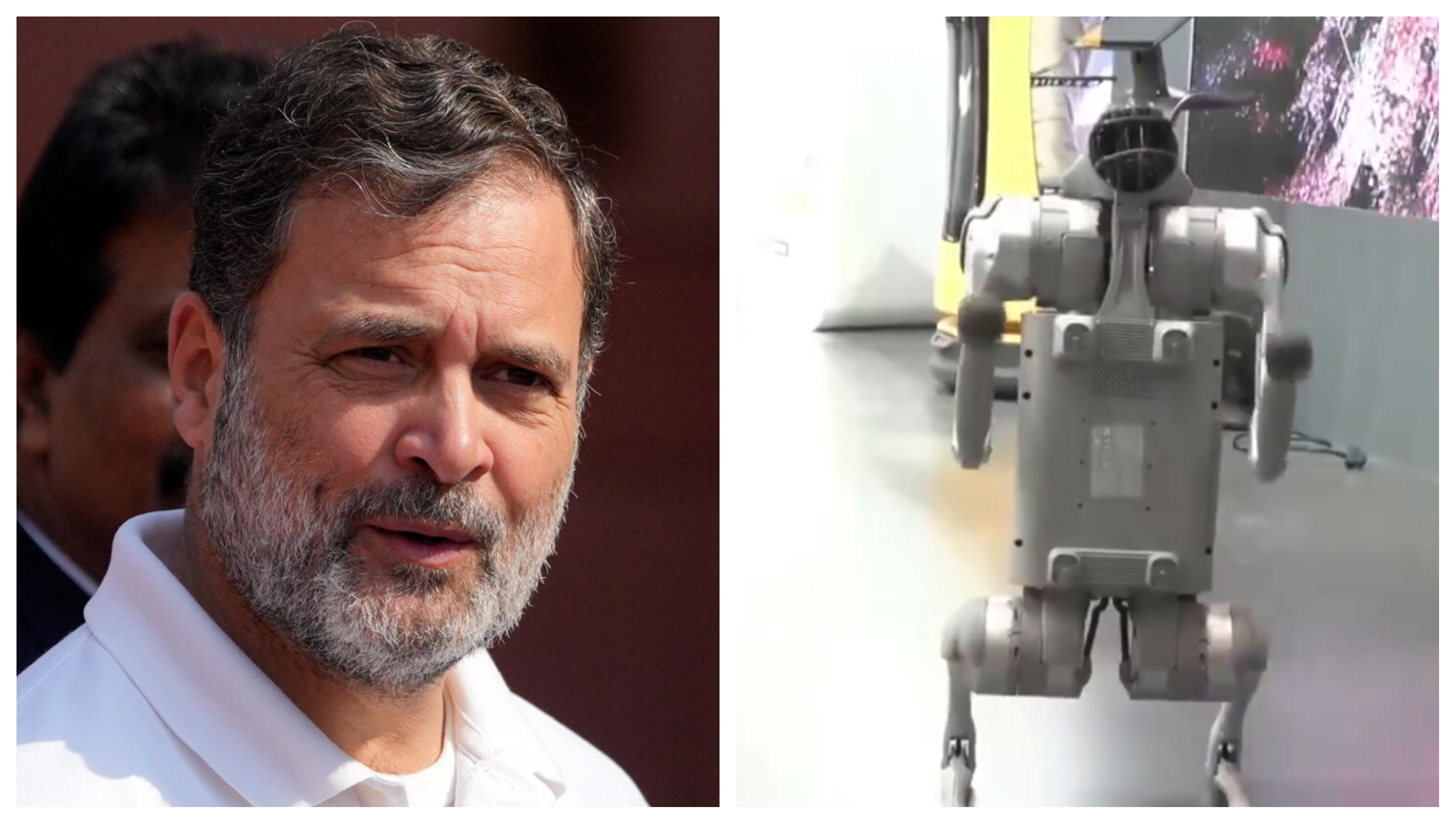 AI Summit: Rahul Gandhi slams Centre over Chinese robodog row at Delhi meet