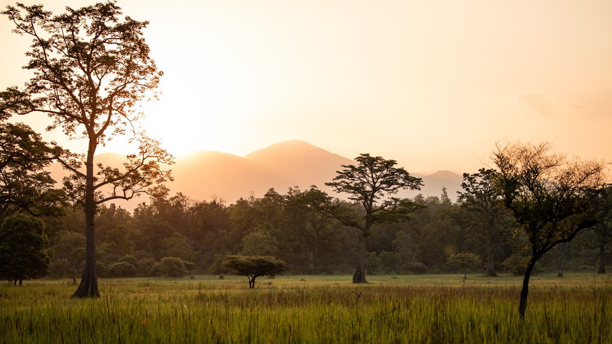 Landmark report shows global economy driving biodiversity loss