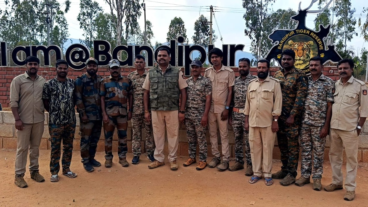 Safari resumes at Bandipur tiger reserve after three months