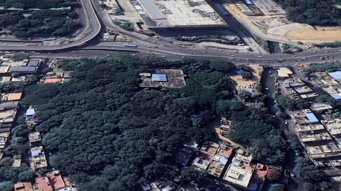 Reshme Bhavan plan in Bengaluru's Okalipuram puts 575 trees on chopping block