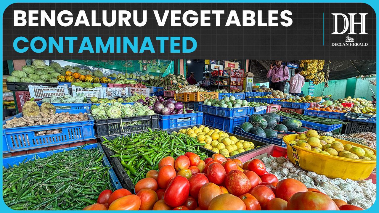 Lead contamination in 26% of vegetable samples in Bengaluru: CPCB