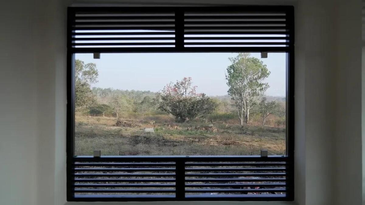 Boarding with a batrachian