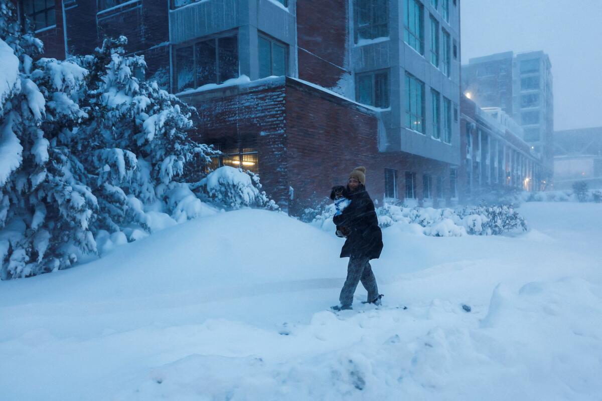 A woman carries her dog as snow falls during a winter storm in Weehawken, New Jersey, US.