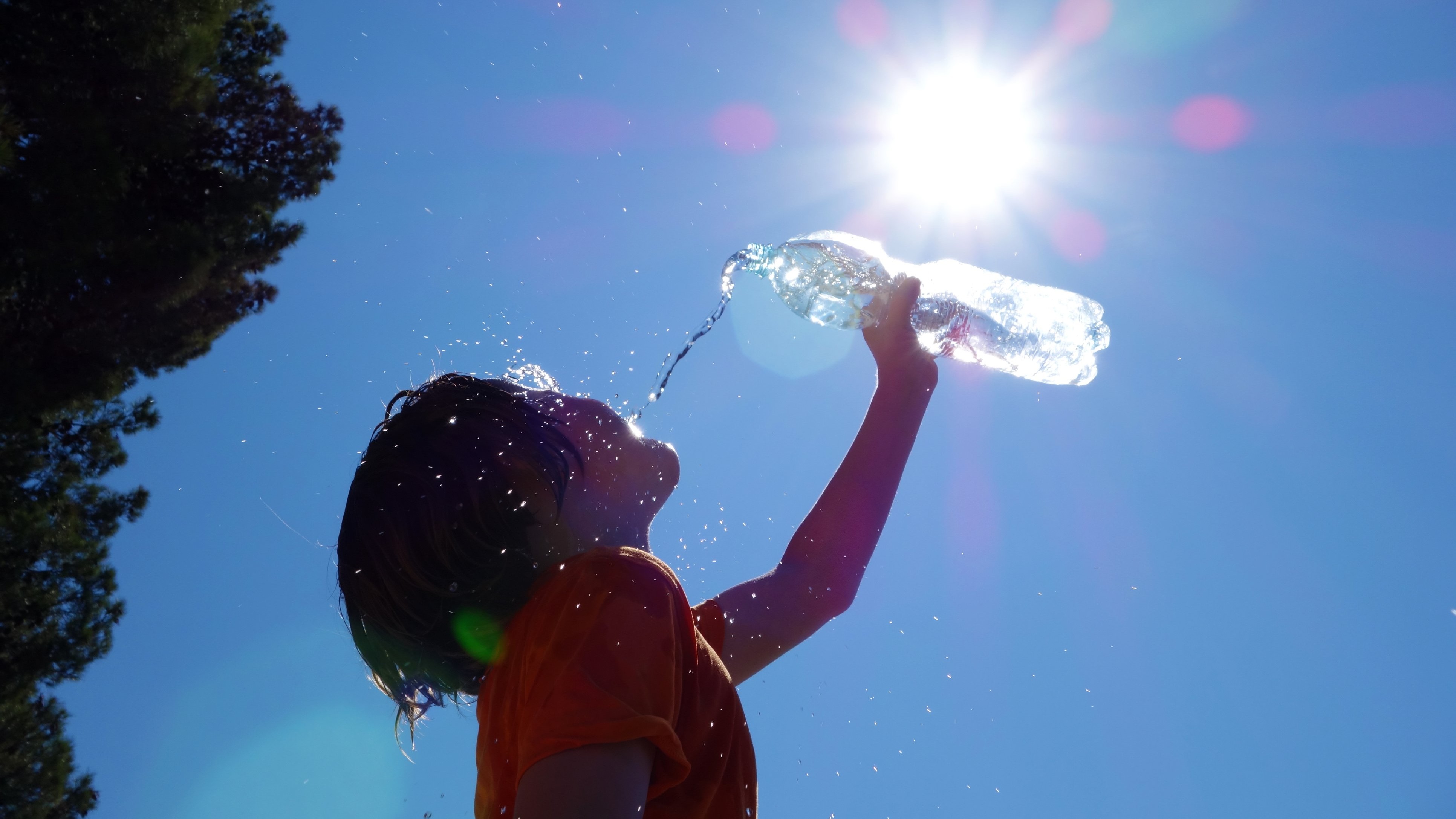 Mercury rises in Bengaluru; summer to set in from March 1: IMD