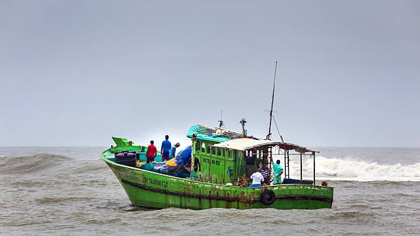 Sri Lankan Navy arrests 12 Indian fishermen for alleged poaching