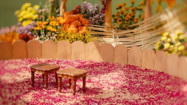 Virosh Wedding: Wedding festivities officially begin with Haldi ceremony