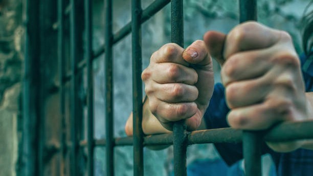 Telangana CID arrests Falcon Group's Ex-COO in Falcon invoice discounting scam