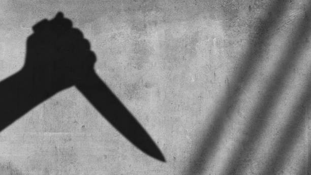 'Windpipes were cut': Delhi man slits throats of pregnant wife & 3 daughters; lack of son possible motive