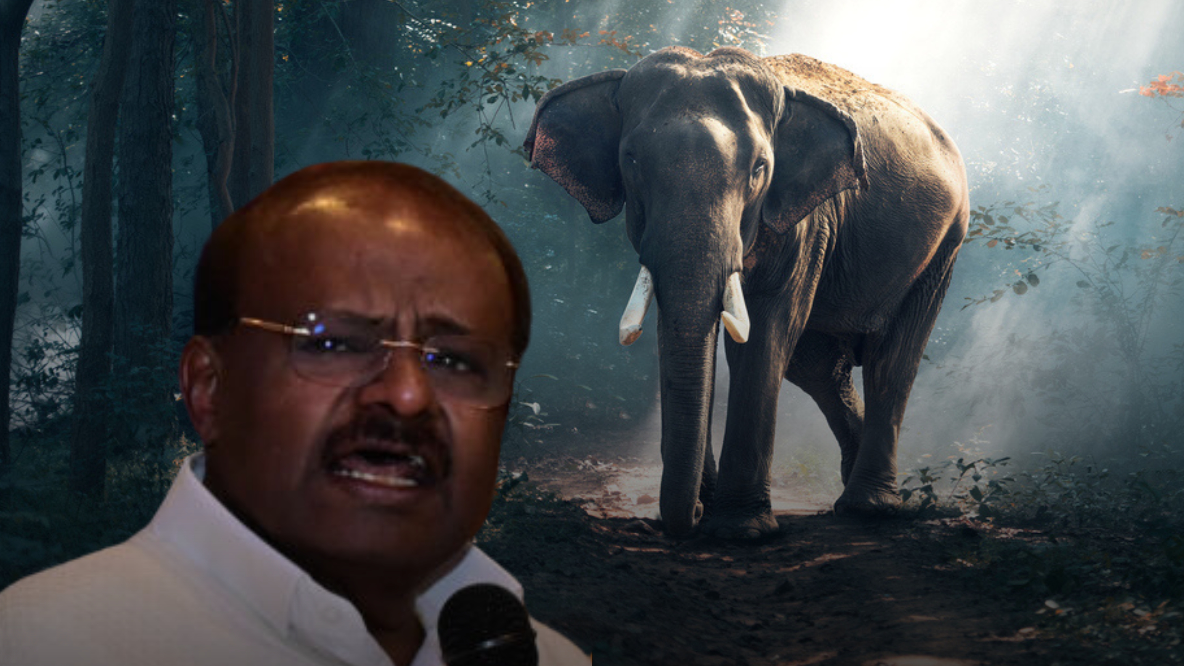 Will make all efforts to resolve wild jumbo menace: Union Minister H D Kumaraswamy 
