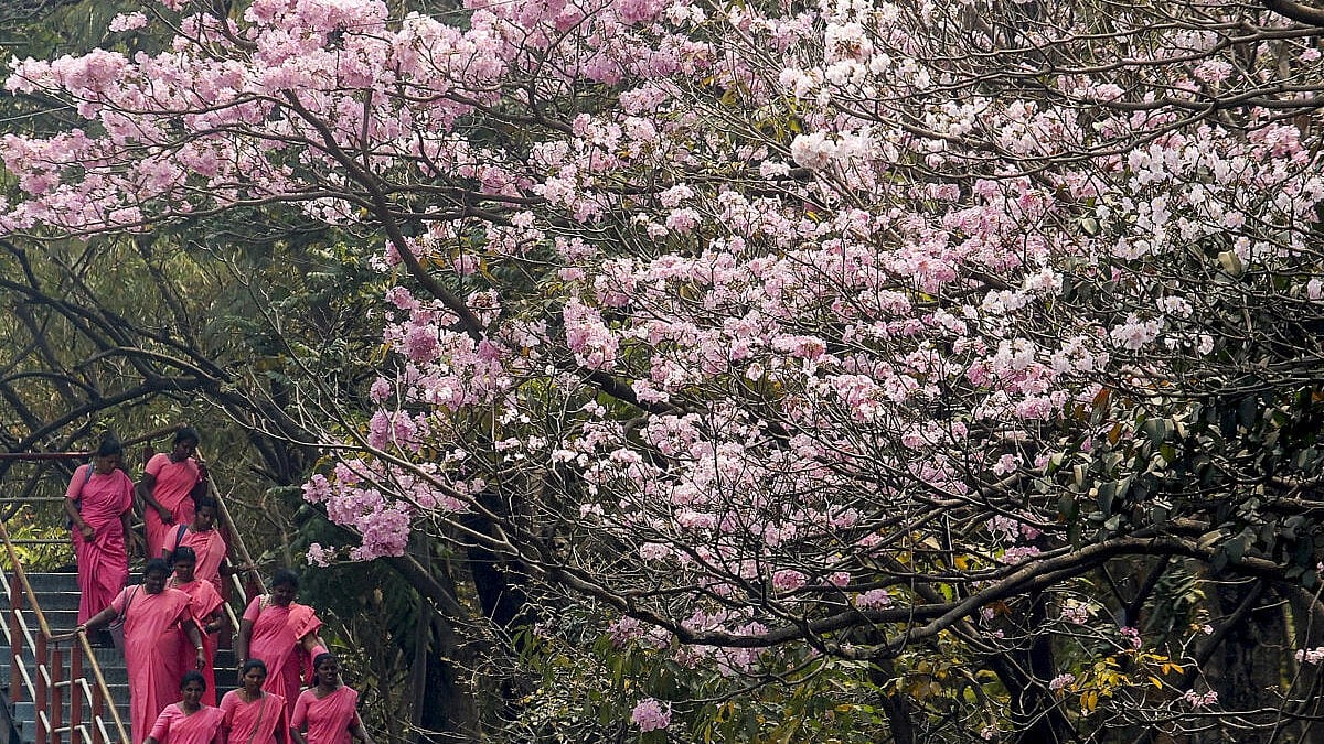Global Photo Highlights: Brazil's Harvest Traffic, Yamuna Pollution, and Holi Festivities