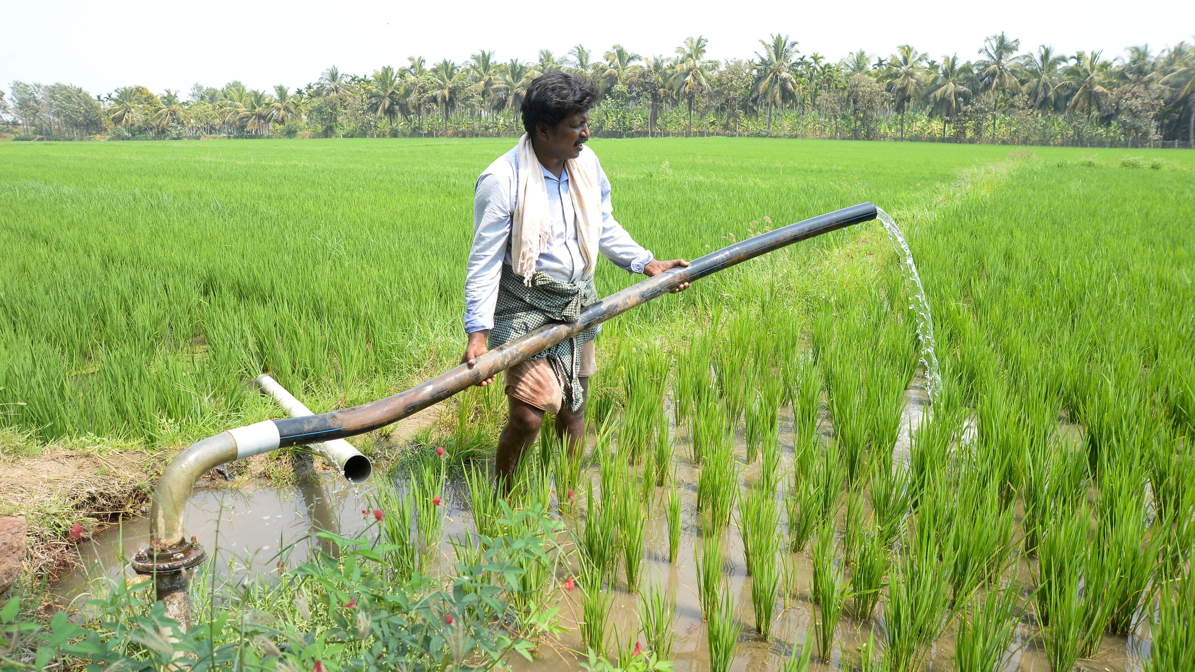 Karnataka planning panel pushes for water security