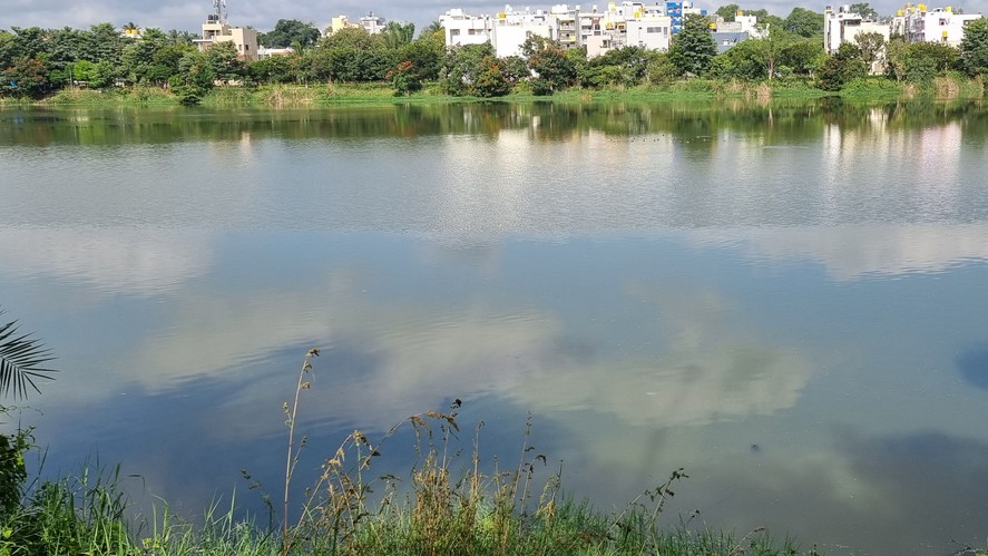 Bengaluru: Clean-up drive at Kembathalli Lake