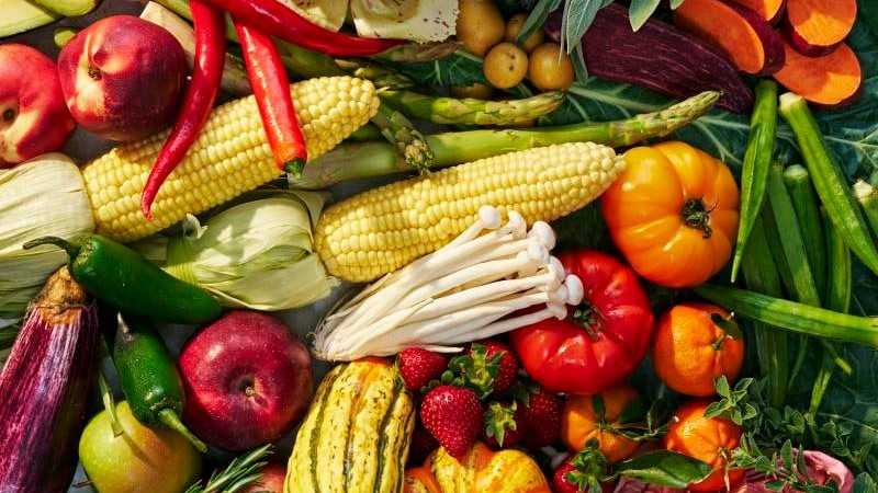 Kerala exporters feel the pinch of conflict in West Asia