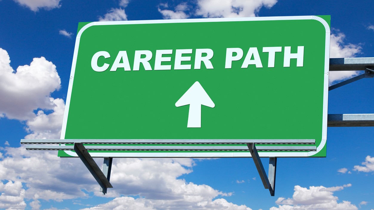 How to choose the career path?