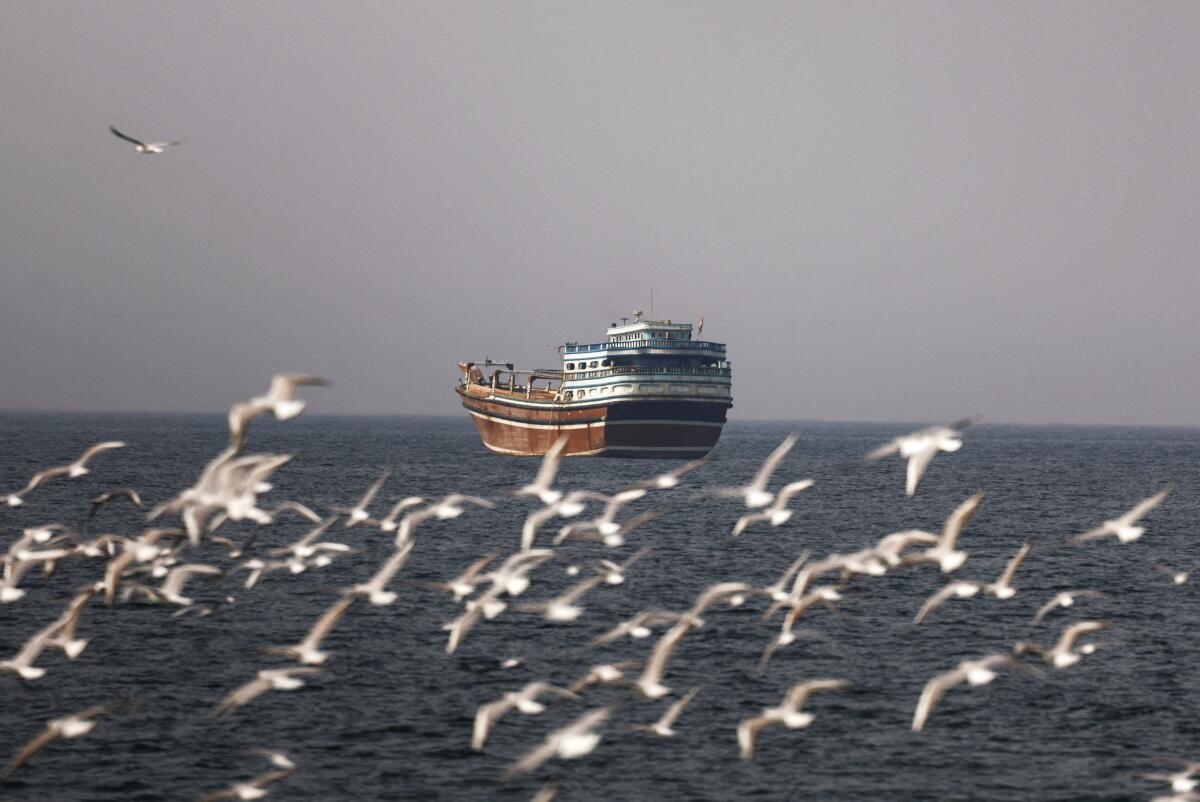 Birds fly near the boat in the Strait of Hormuz amid the US-Israeli conflict with Iran, as seen from Musandam, Oman