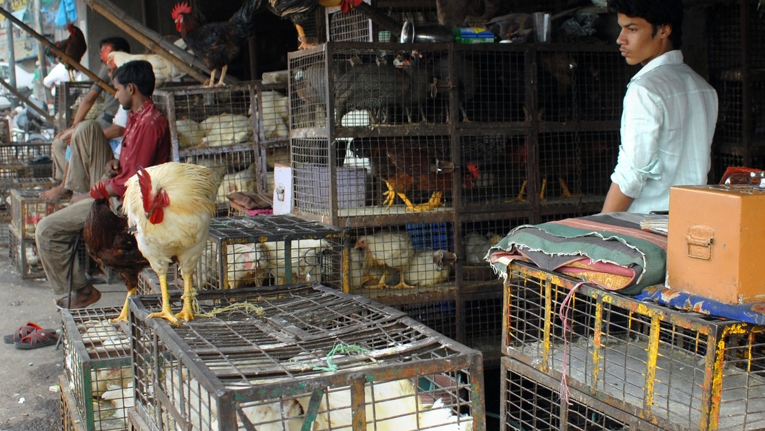 Hygiene checks conducted at meat shops in Yelahanka