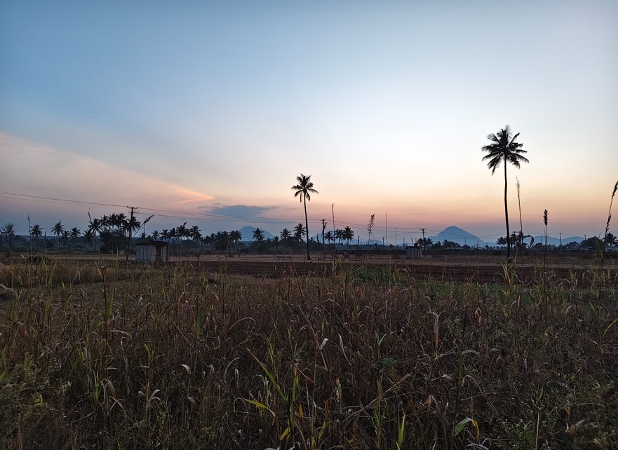 Vivo V70 Photo Sample with 1X.