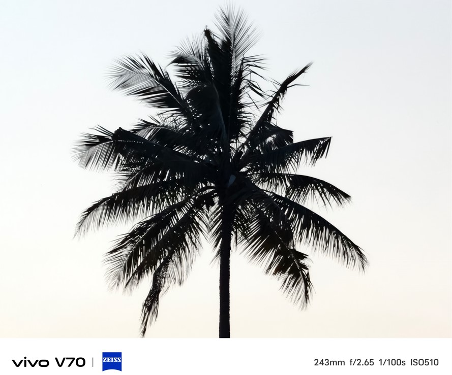 Vivo V70 Photo Sample with 10X Zoom.