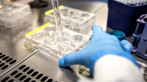 Maharashtra: Police bust female egg donation racket; IVF centre in Nashik sealed