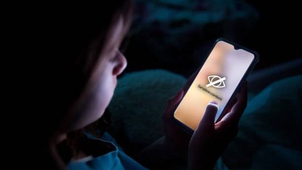 Andhra Pradesh to restrict social media access for children under 13 likely within next 90 days: CM Naidu