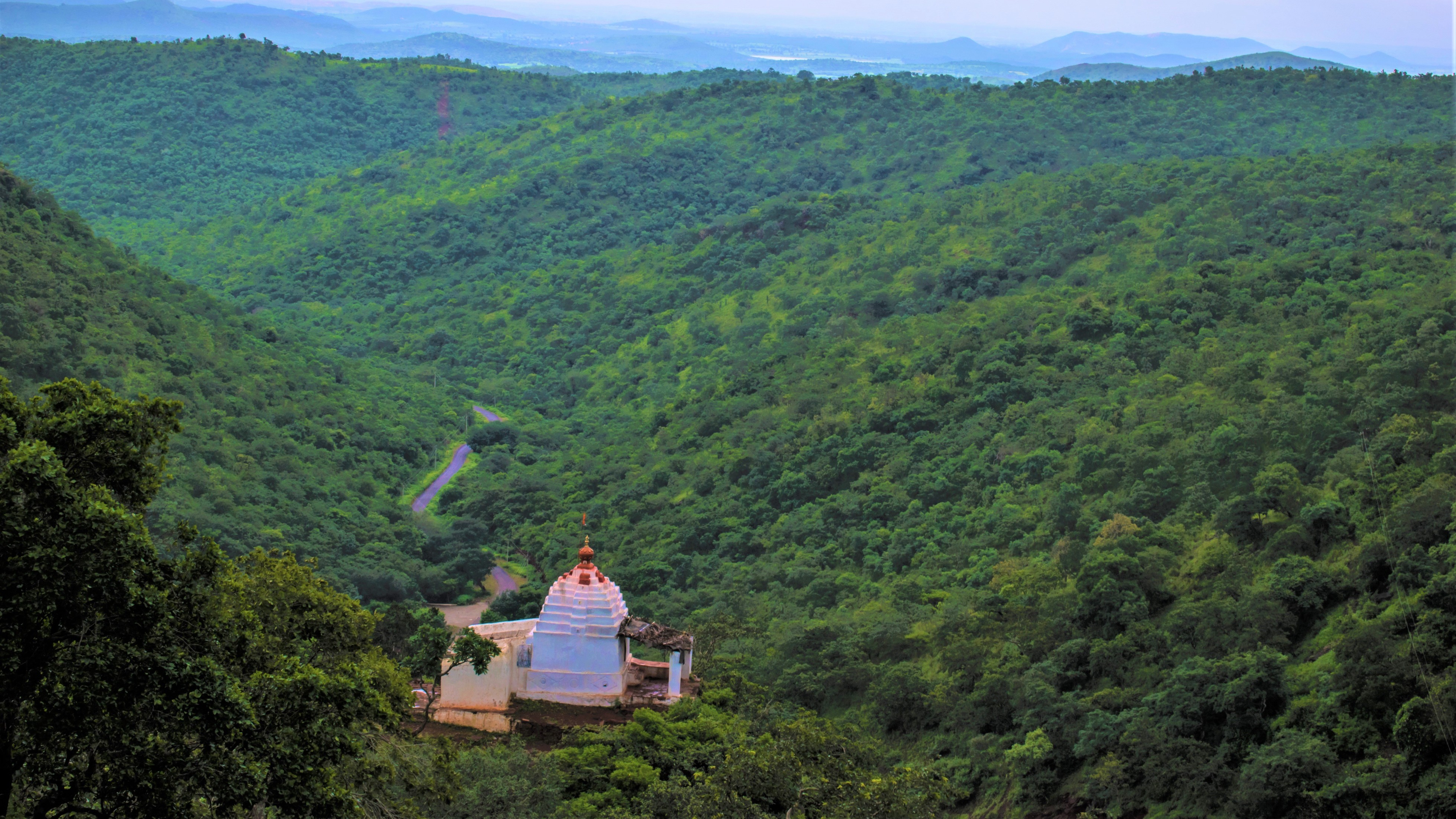 Include left-out reserve forest in  Kappatagudda sanctuary: Karnataka HC tells govt