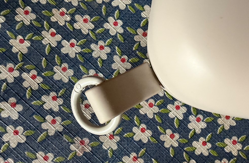 DailyObjects Park Tech Kit's silicone loop with a carabiner ring.