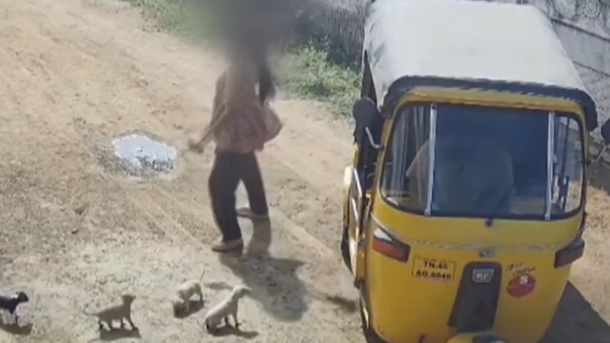 Tamil Nadu: Woman kills puppies by smashing them on wall after dispute with neighbour