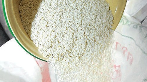 Illegally stored 400 kg rice meant for Anna Bhagya seized in Byndoor taluk 