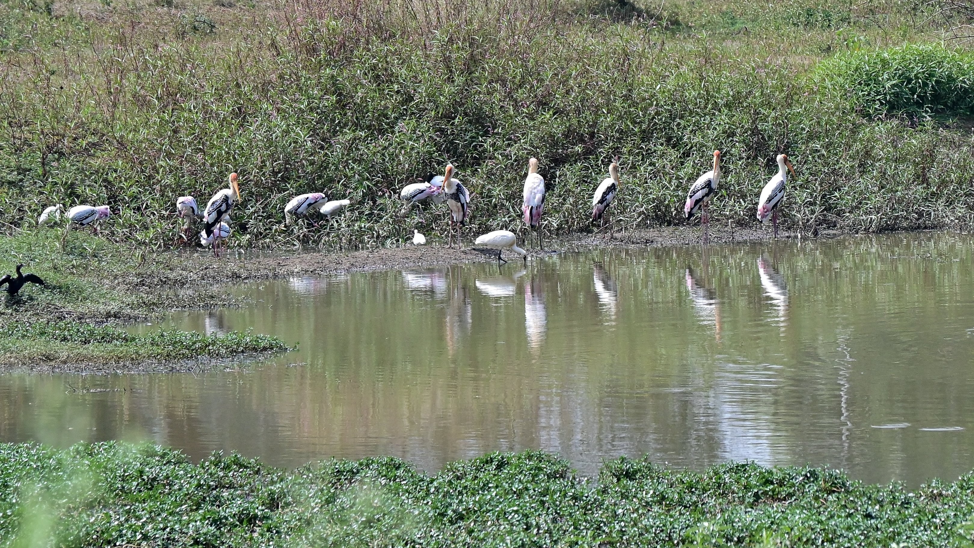 Scientists slam new Karnataka lake buffer rule