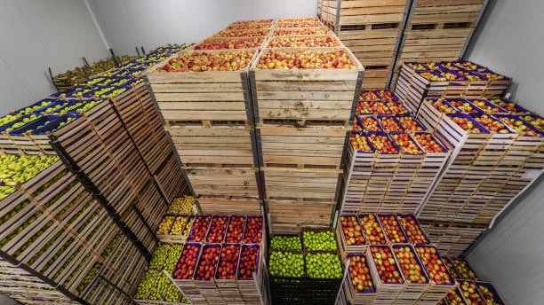 West Asia conflict hits fruit exports in Maharashtra; cargo stuck, supplies affected