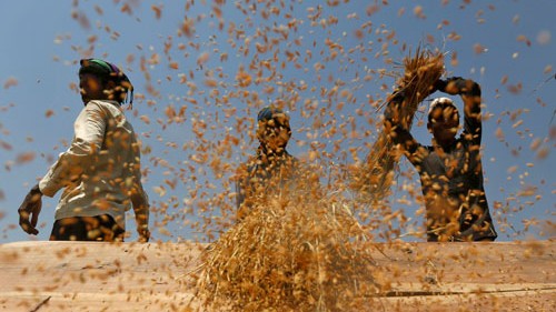 Agricultural exports: Interest subvention, freight subsidy sought as West Asia crisis hits trade
