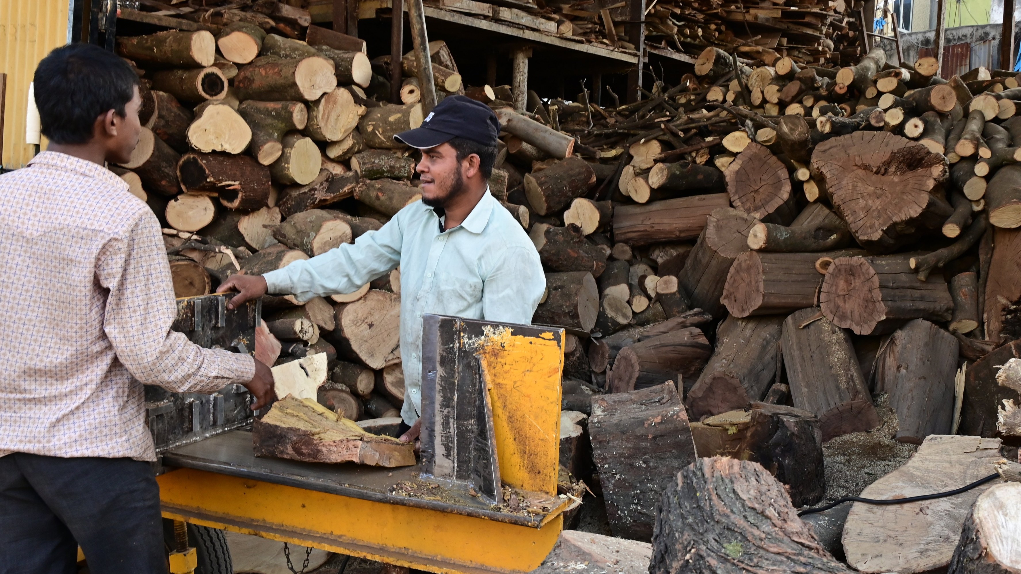 Amid high firewood demand, foresters told to up vigil on illegal tree felling in Bengaluru