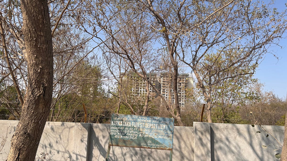 Bengaluru Forest Department Opposes Diversion of Panathur Forest Land for 150-Ft Road