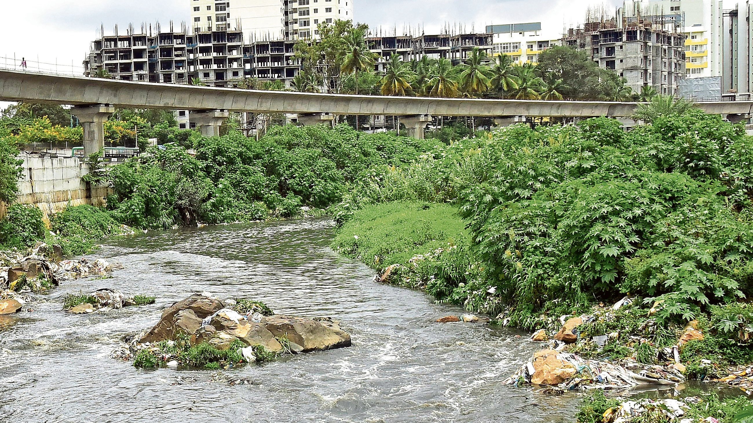 Study flags pollution, health risks in Bengaluru's Vrishabhavathi river