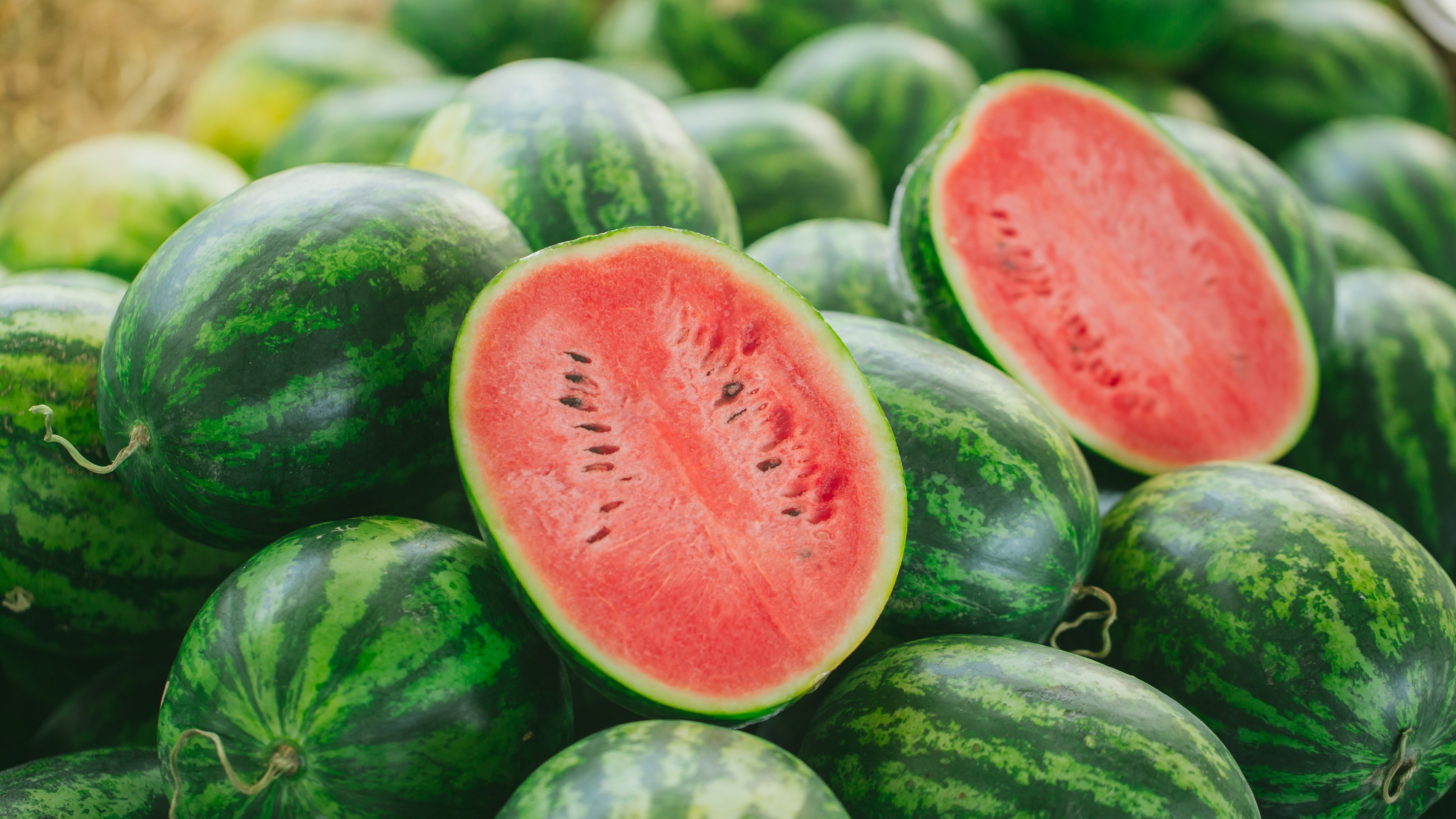 Bumper harvest, failed export cycle: Why are markets flooded with fruits amid West Asia conflict? 