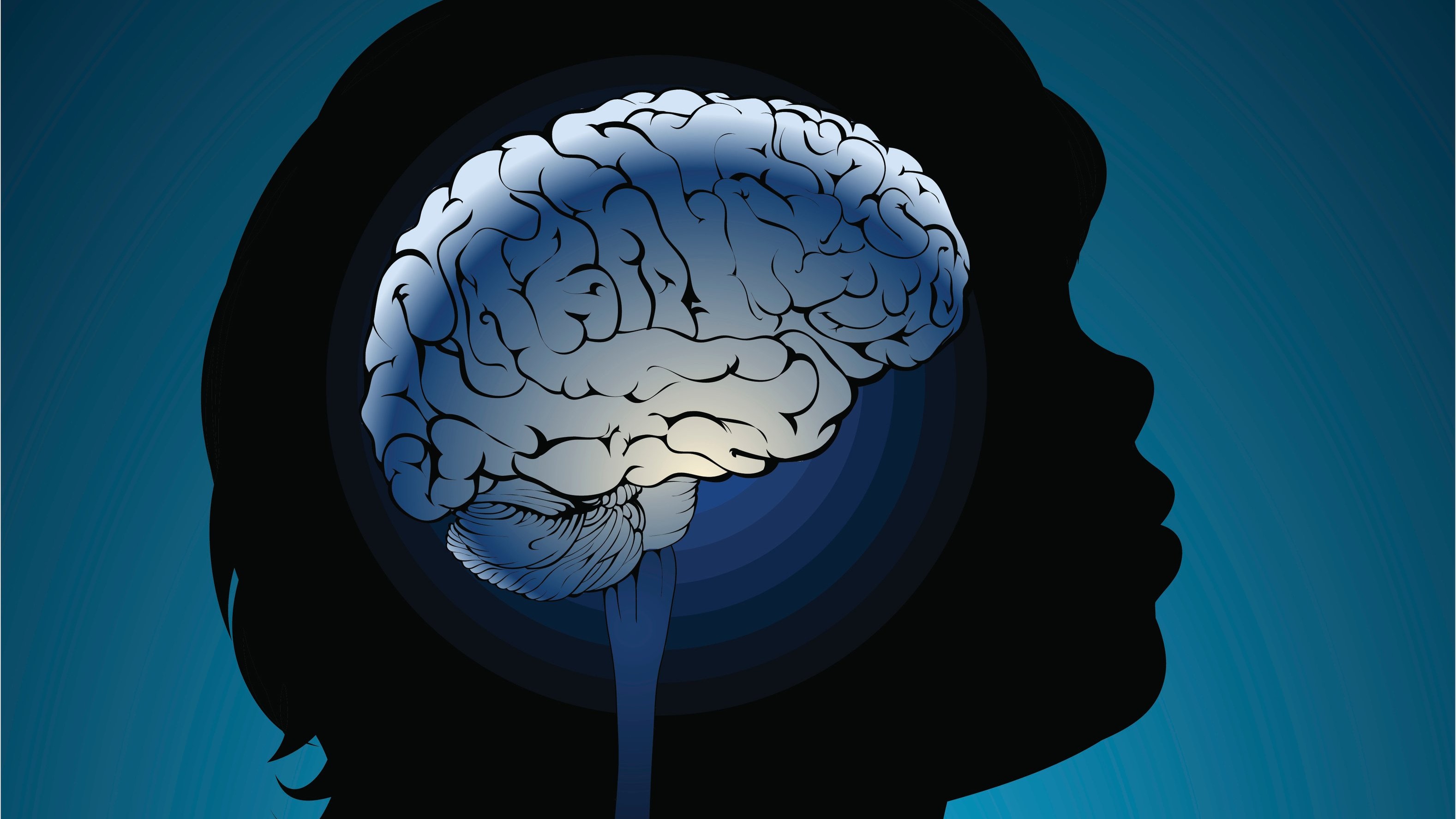 Human brain: The computer within