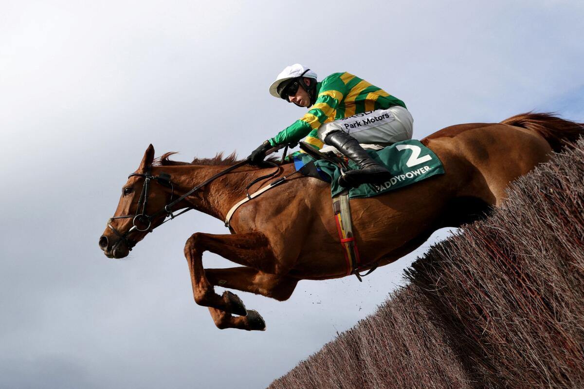 Dinoblue ridden by Mark Walsh in action on their way to winning the 14:40 Mrs Paddy Power Mares' Chase