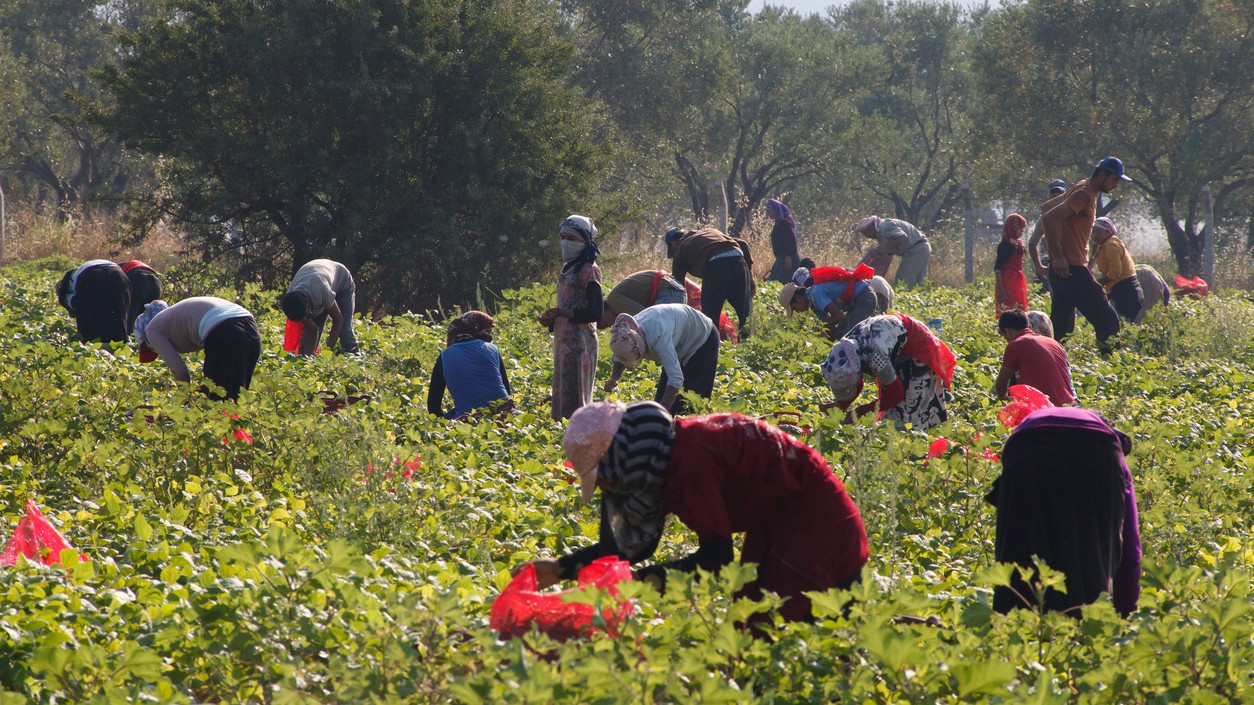 Karnataka Labour Department says no complaints of locals losing jobs due to migrants