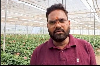 Gerbera Cultivation Subsidy Transforms Farmer Neeraj's Fortune in Barabanki