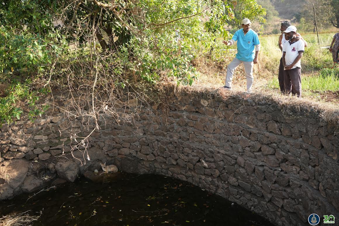 Forest department officials during rescue operation. 