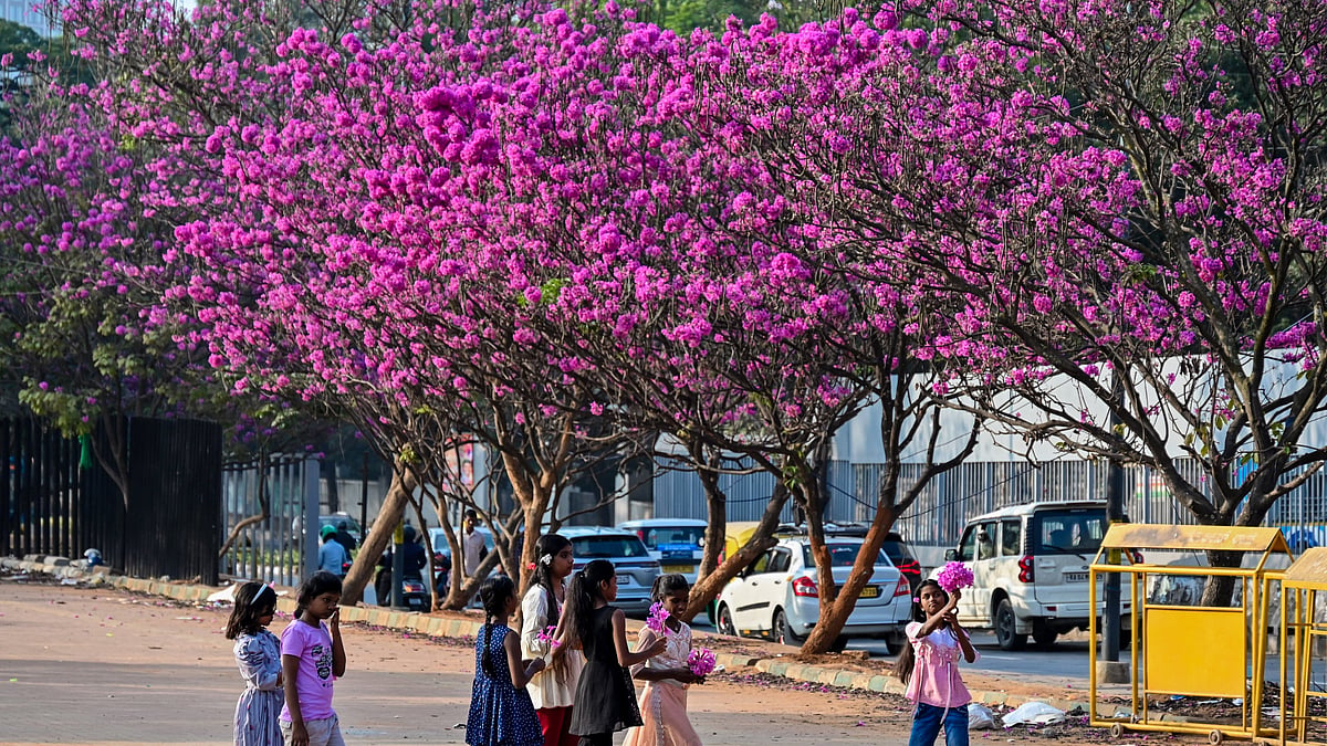 Yugadi in Karnataka: Nature's Canvas Painted with Cultural Significance