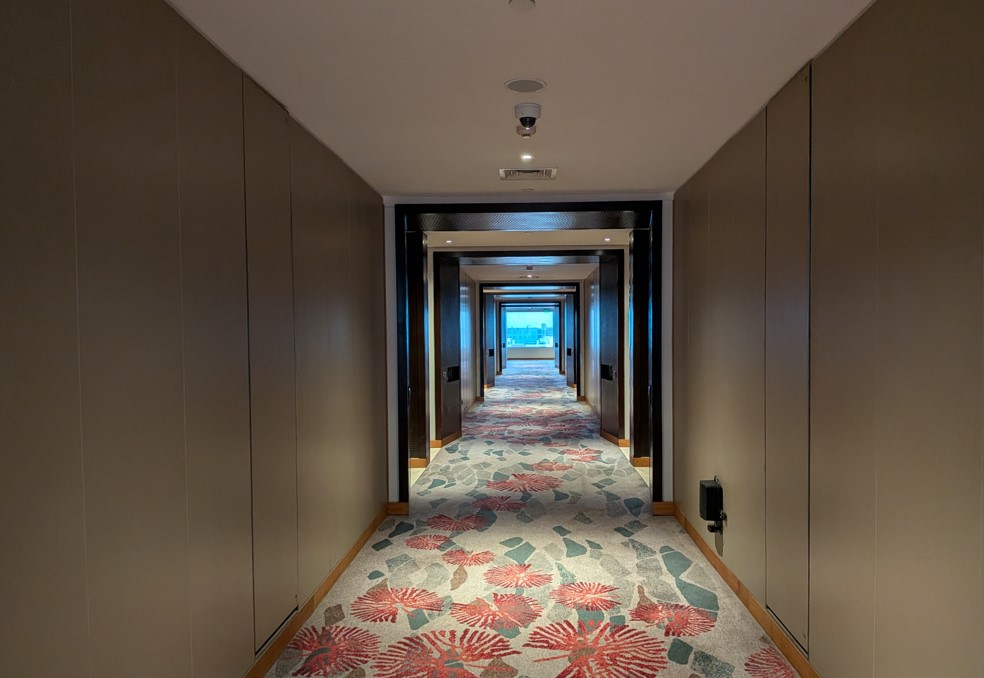 Google Pixel 10a's camera sample.