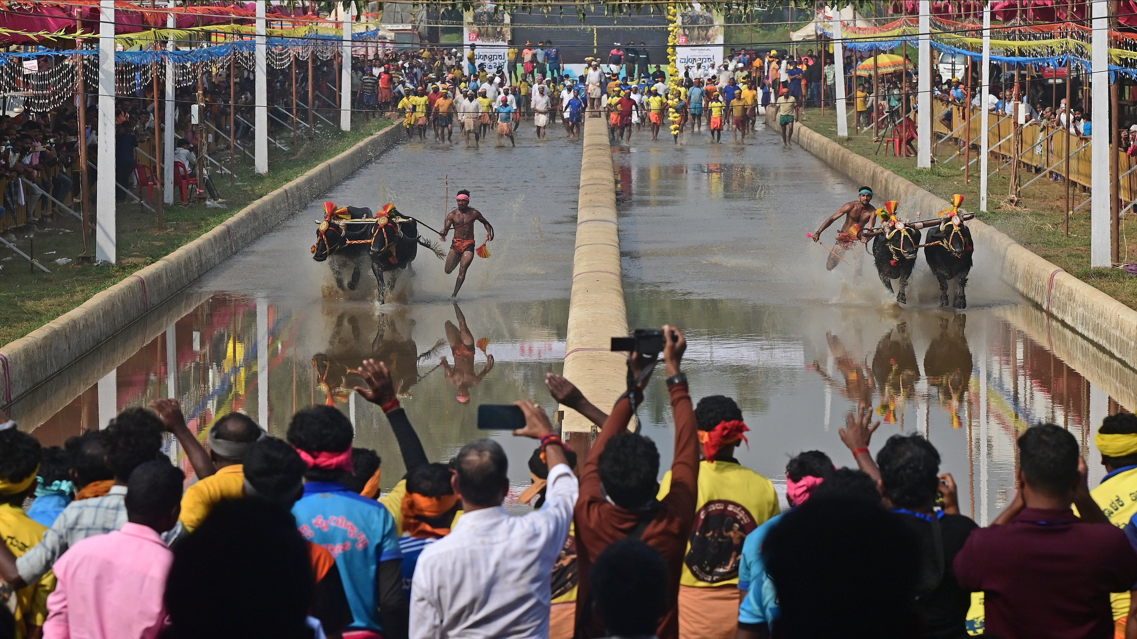 Kambala’s changing stride in coastal Karnataka
