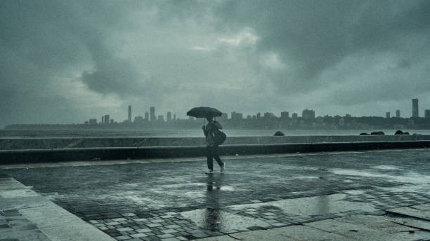 Monsoon rainfall over India was higher during the mid-Pliocene period: Study