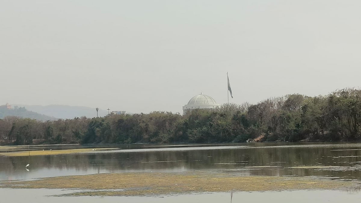 Maharashtra's Flamingo Wetlands Face Toxic Crisis in Navi Mumbai Lakes