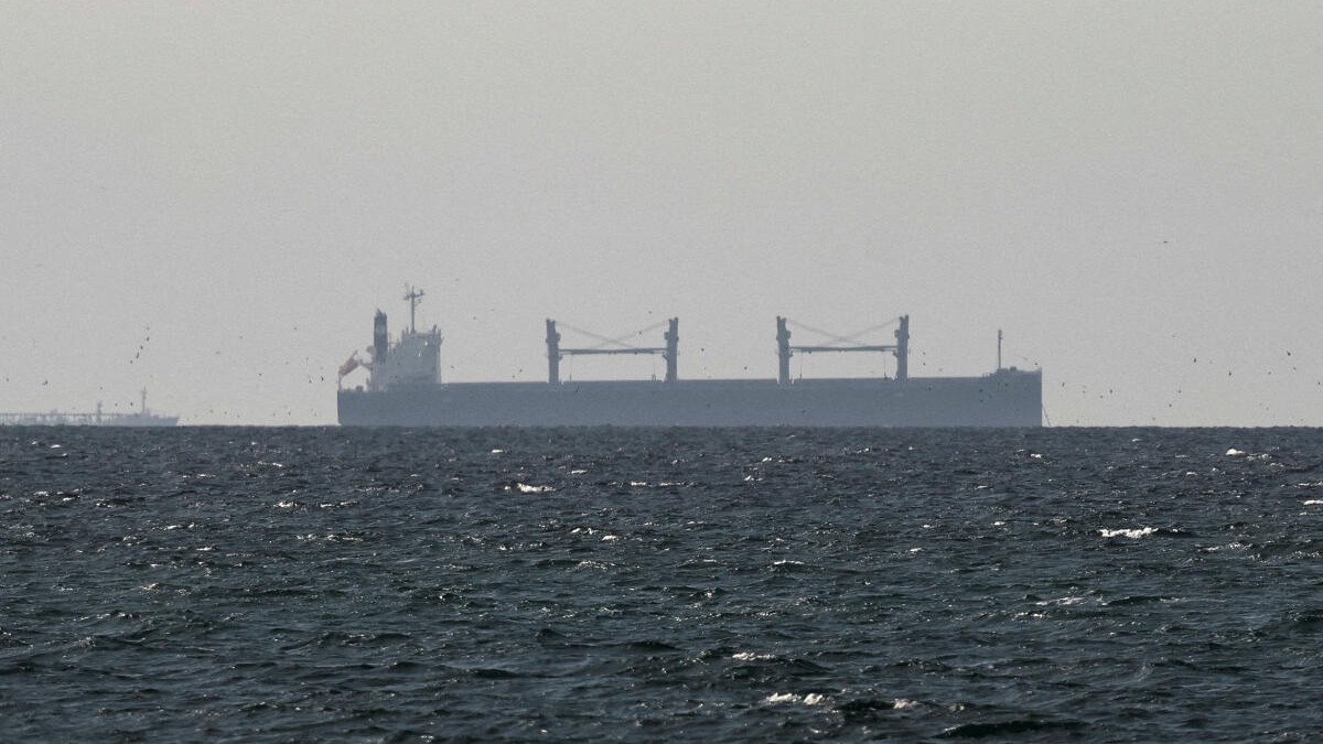 UAE willing to join international force to reopen Strait of Hormuz: Report